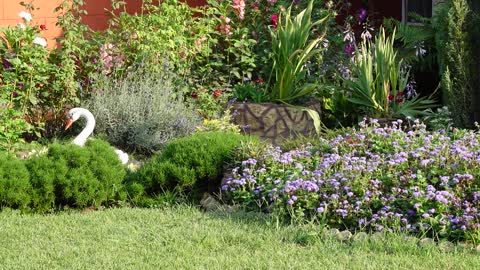 Beautiful courtyards of private houses. The best landscape