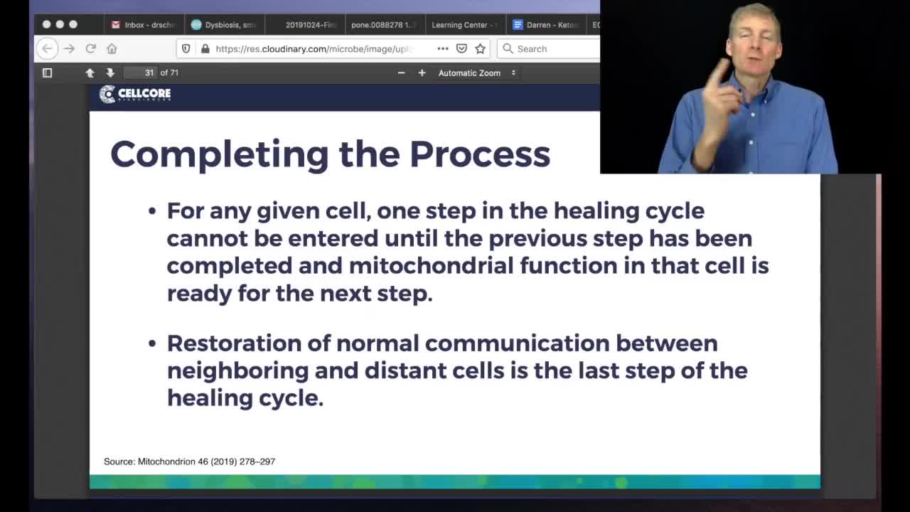 Cellular Defense Response Don't Get Stuck In Any Of The 4 Phases!