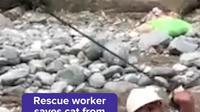 Rescue worker saves cat from floods in Pakistan