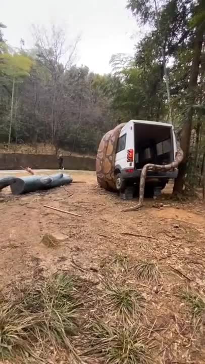 All. You're not going anywhere