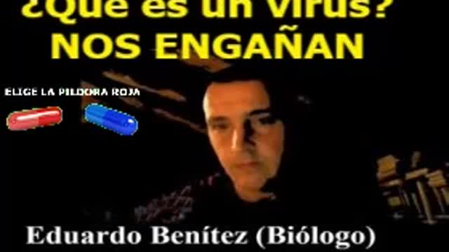 ¿QUÉ ES UN VIRUS?