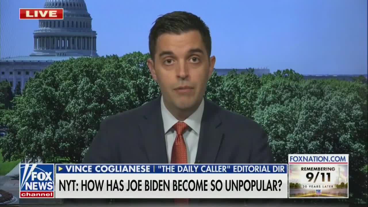 Vince Coglianese on Fox News Live