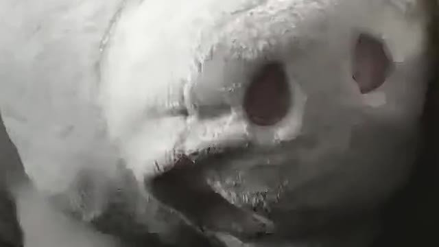 f the use of the spiri