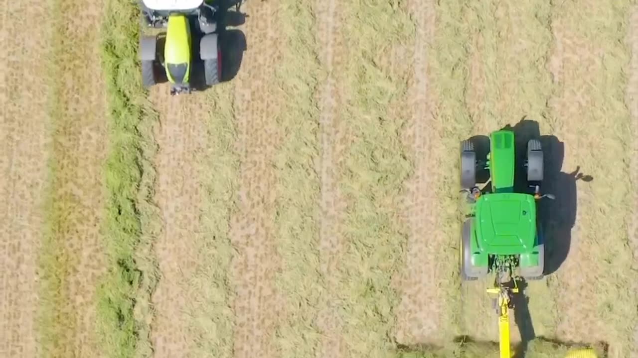 Crc vídeos curiosos