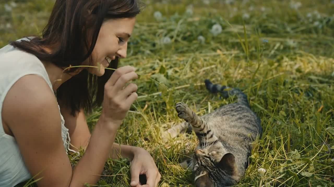 Young woman playing with a cute kitten in the grass