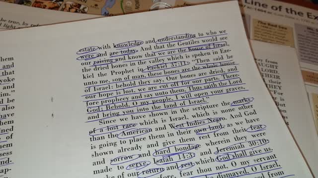 2/3 MARKS OF A LOST RACE BY W.HENRY E.BIBINS