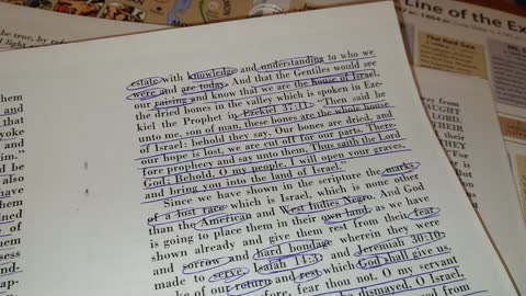 2/3 MARKS OF A LOST RACE BY W.HENRY E.BIBINS
