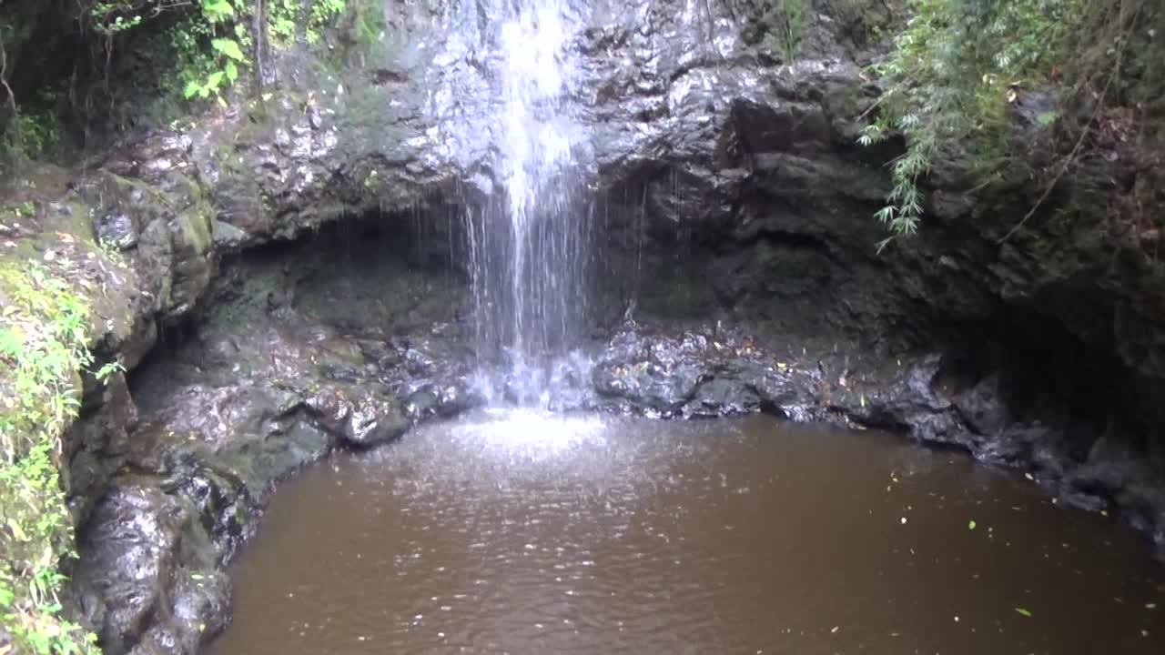 Honolulu, HI — Ka'au Crater Trail #1