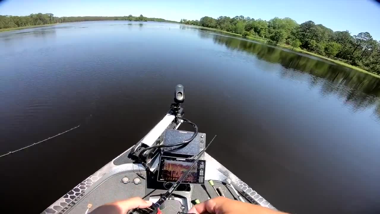 This TROPHY Lake is LOADED w/ GIANT Bass (Frog Fishing)