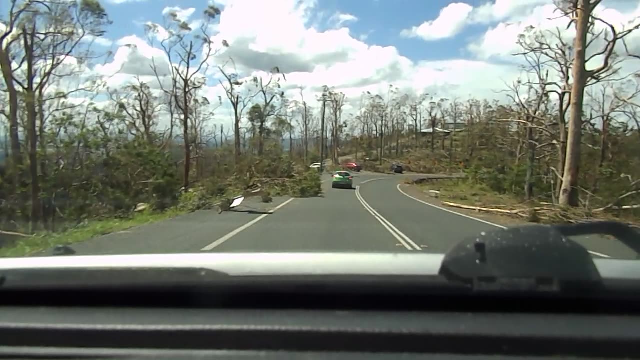 Tamborine Mountain strom damage on the eastern ridge.