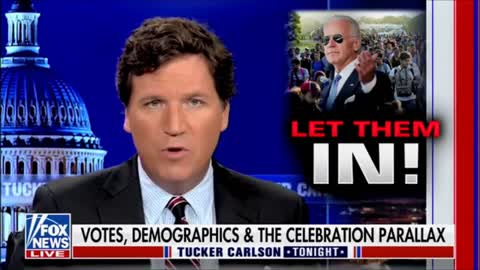 Tucker Carlson explains the left's white replacement agenda