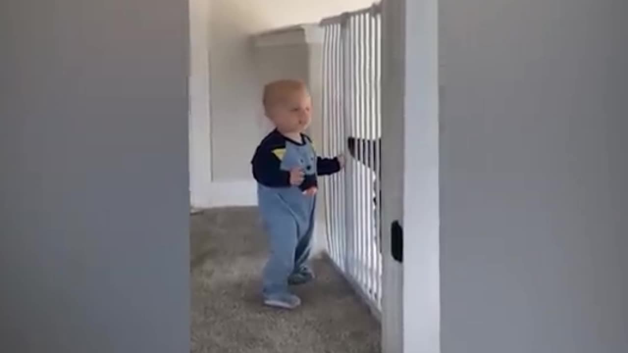 Funny baby and dog's 🤣😂