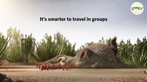 Teamwork and Leadership Animated short video