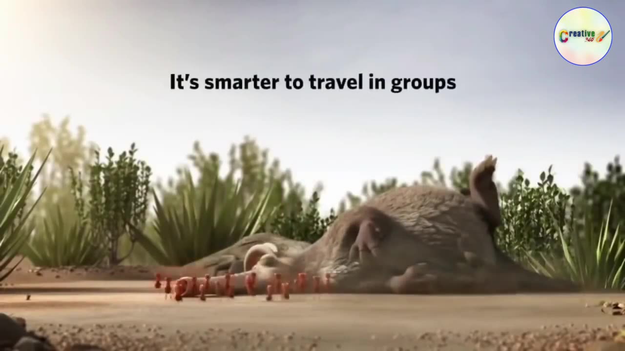 Teamwork and Leadership Animated short video