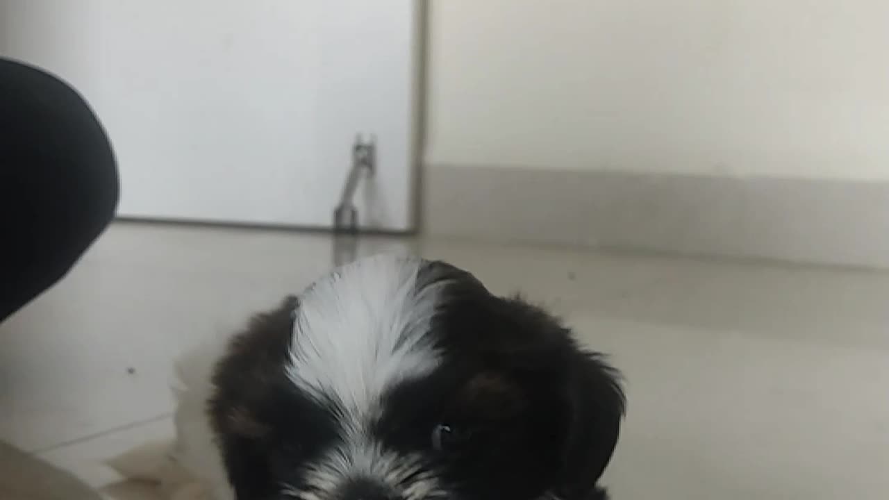 My baby having cough