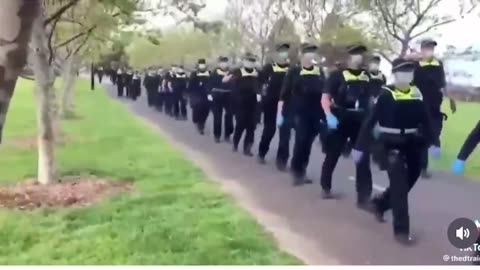 Friday feed July 21 2023