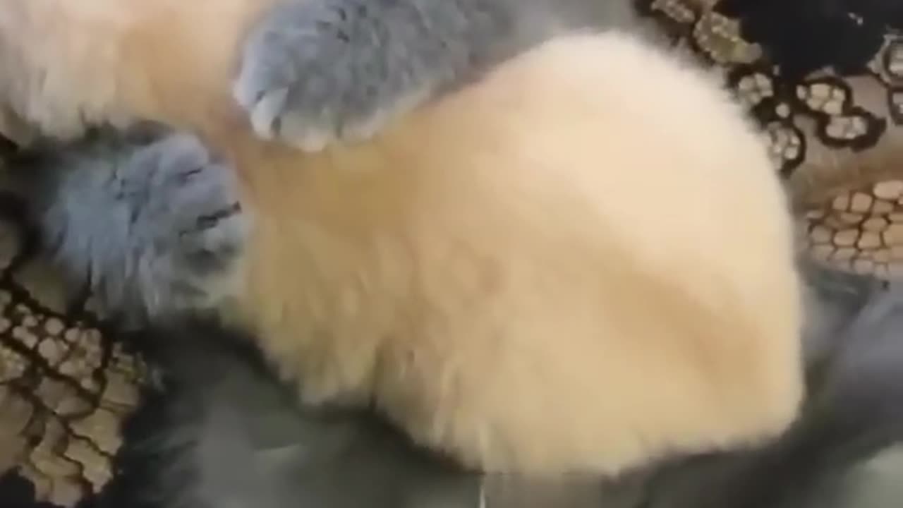 One in a million