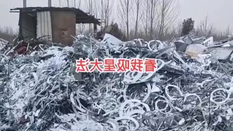 DL Panda viral videos on internet