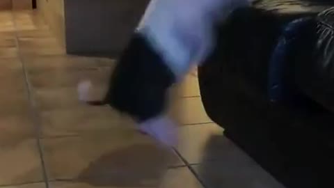 Oh heck