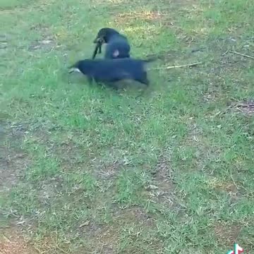 OOPS they broke it! LOL