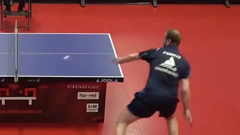 Sport table tennis/ Cool Player