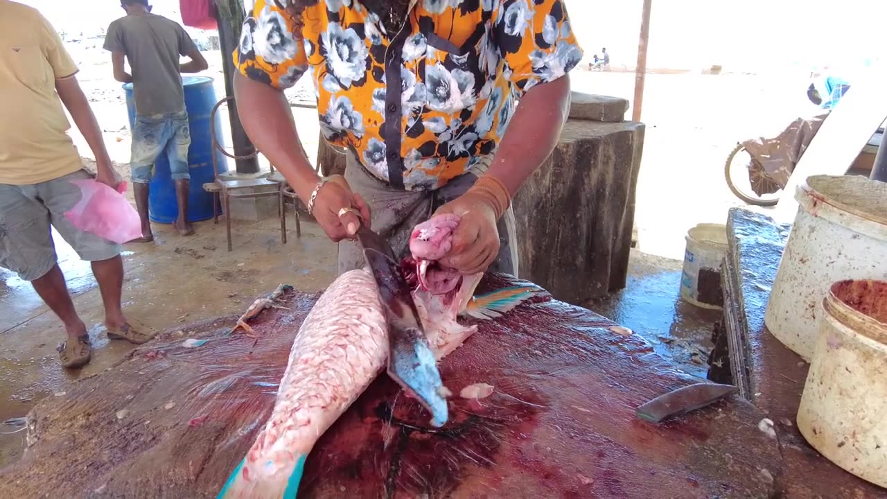 🦜 Parrot Fish Cutting Skills _ Fish Cutting Skills