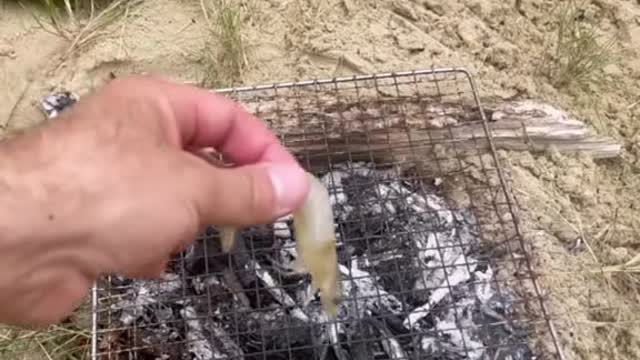 Catching fresh Prawns 🦐