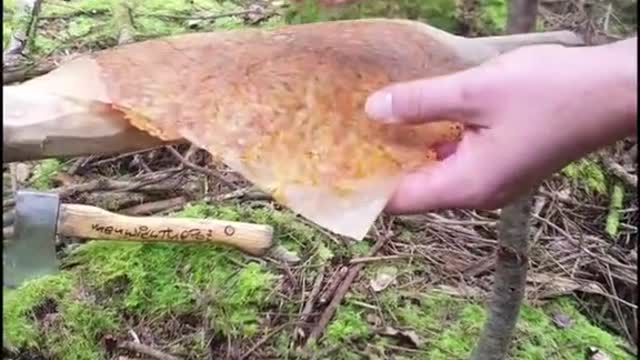 Taco shell made out of CHEESE‼️😱