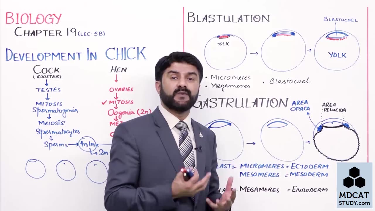 LEC#7 DEVELOPMENT OF CHICK (PART-B)