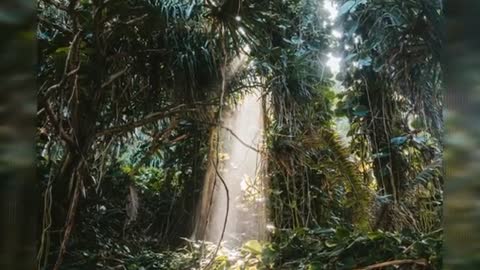 Relaxing Music | Sleeping, Meditation, Stress Relief | [6776] ⭐️