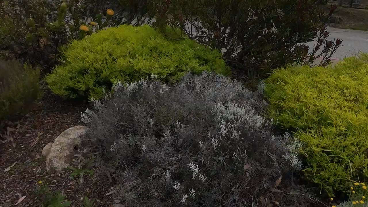 Hyperlapse Old Fishermans Wharf in Monterey California