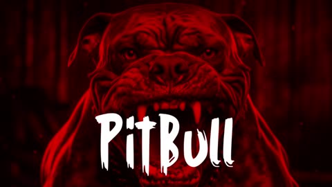 Pitbull