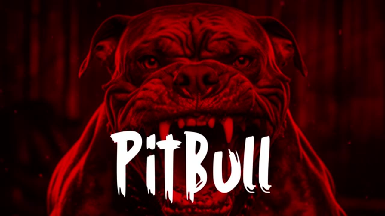 Pitbull