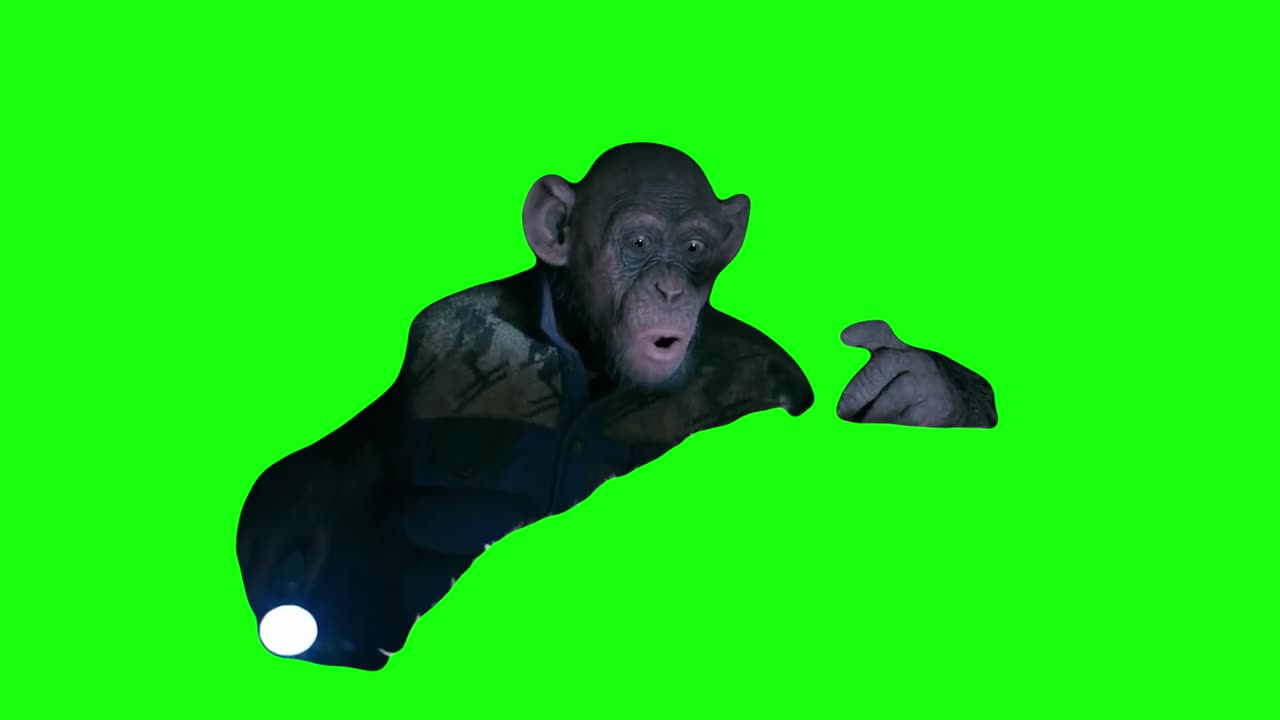 The Planet of the Apes' "Oh No!" Monkey Meme | Green Screen