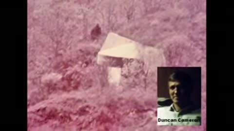 DUNCAN CAMERON - THE CHAIR & THE BEAST