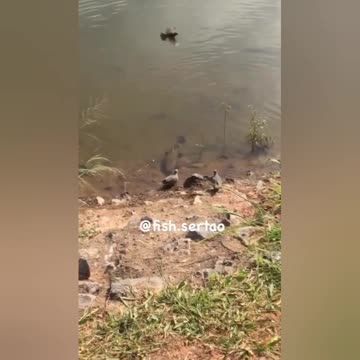 things that human beings are not used to seeing