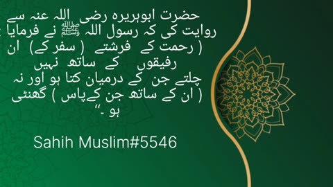 #islami#dunya