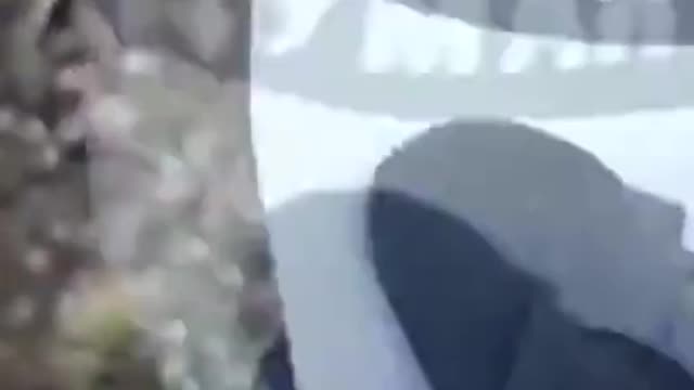 Ukrainians Begin Shelling Russians With Surrender Or Else Leaflets | #Shorts