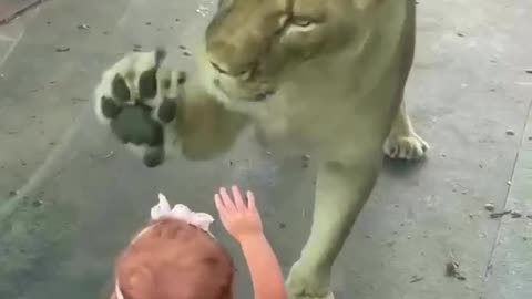 She is So Brave #shorts #viral #shortsvideo #video