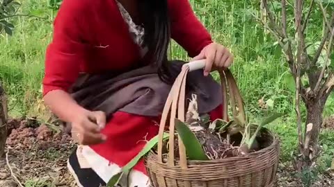 Enjoy beautiful nature with rural life
