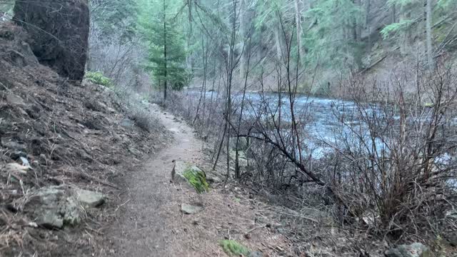 Hiking Along Aquamarine Metolius River – Central Oregon – 4K