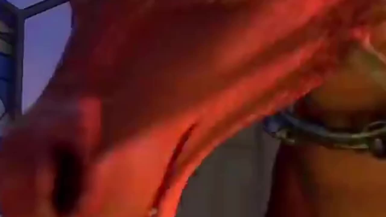 Sabías Que En Shrek