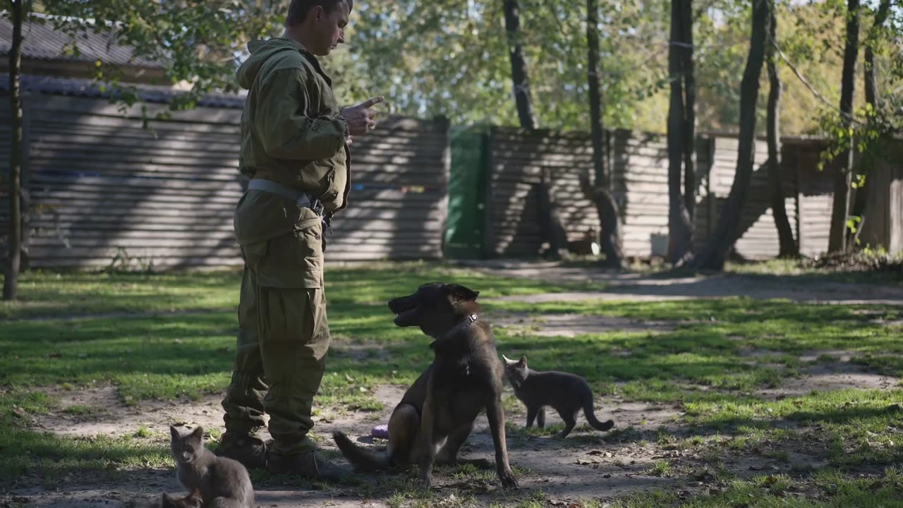 Living with a Belgian Malinois Tips & Tricks!