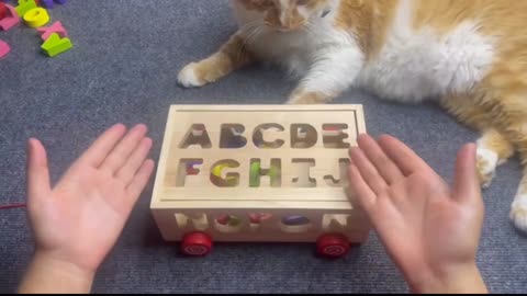 Best Learn ABC Puzzle,Shapes | Preschool Toddler Learning Toy Video