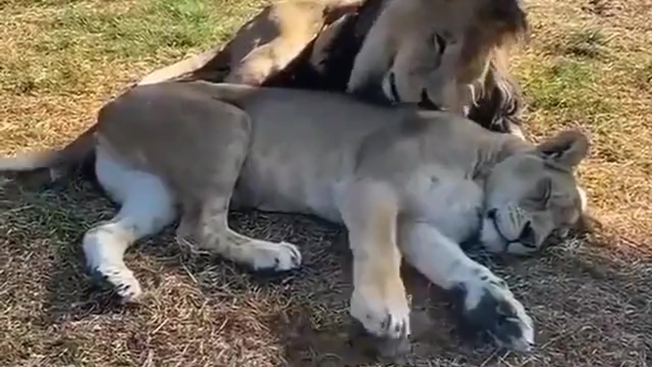 新婚顔負けなほどラブラブな カップルが撮影される…