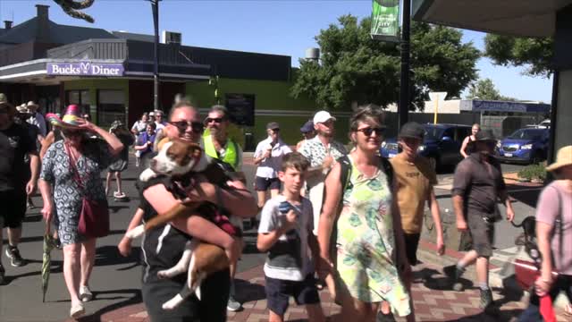 Freedom Rally in Bunbury Western Australia: We Need to Take a Stand!