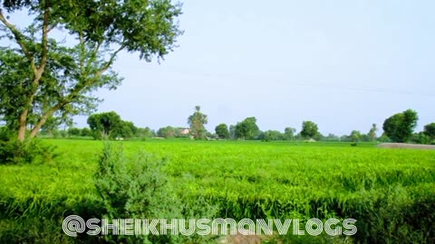 Village life of Pakistan 🇵🇰