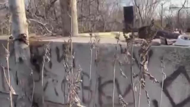 Nazi graffiti at the Ukrainian artillery positions on the Gorlovka direction.