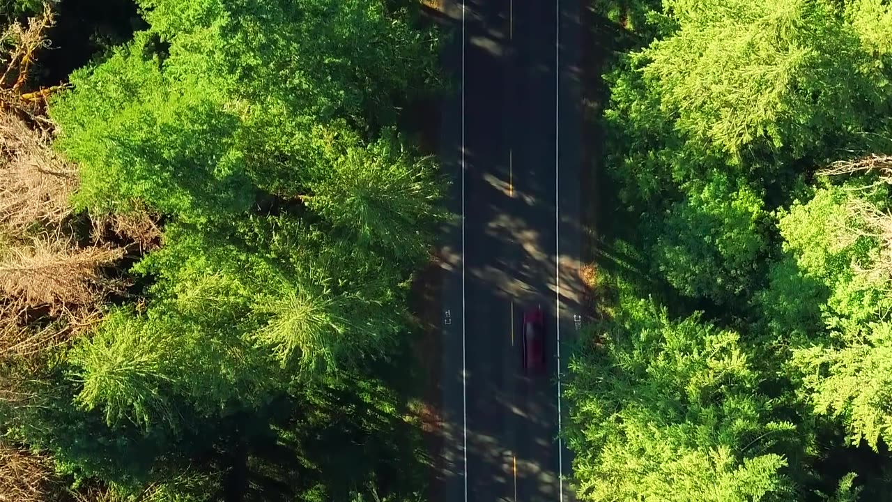 nature10