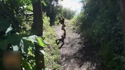 This farmer discovered something weird under his corn field #shorts _SA vibes